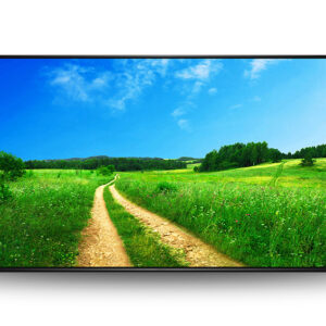 Moniteurs professionnels